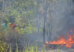 Pengusaha Hutan Sambut Baik Inpres Larangan Karhutla, Komitmen Berantas Kebakaran Lahan