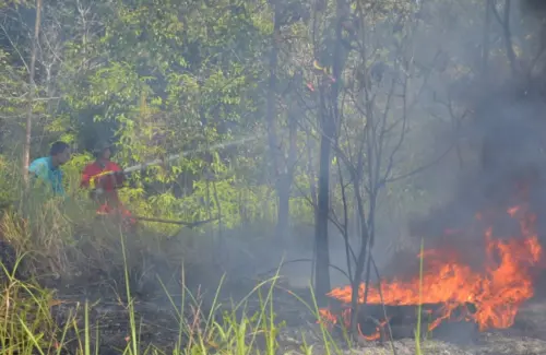 Pengusaha Hutan Sambut Baik Inpres Larangan Karhutla, Komitmen Berantas Kebakaran Lahan