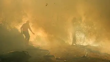 Kawah Ijen Ditutup Sementara Akibat Kebakaran Hutan dan Lahan