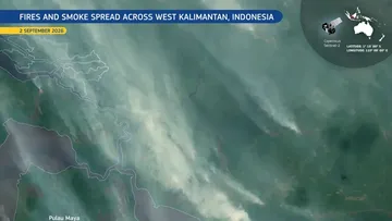 Satelit Uni Eropa Deteksi Kebakaran Hutan di Ketapang, Asap Mengancam Pesisir