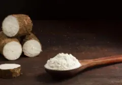 Tak Terduga, Tepung Singkong Ternyata Punya Potensi Padamkan Karhutla Kata BRIN