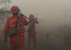 Titik Panas Karhutla di Sumsel Menurun, Namun Indonesia Masih Hadapi Ancaman Kebakaran Luas