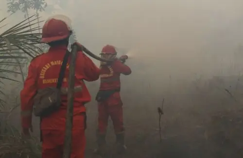 Titik Panas Karhutla di Sumsel Menurun, Namun Indonesia Masih Hadapi Ancaman Kebakaran Luas