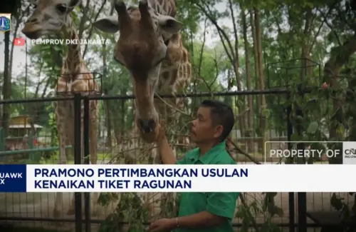 Wacana Kenaikan Tiket Kebun Binatang Ragunan: Pemprov DKI Kaji Ulang Usulan