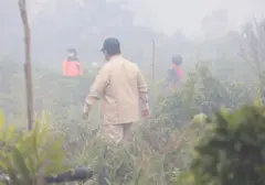 Prabowo Subianto Tegas Ancang Cabut Izin Perusahaan Pelaku Kebakaran Hutan