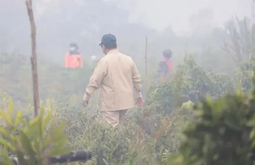 Prabowo Subianto Tegas Ancang Cabut Izin Perusahaan Pelaku Kebakaran Hutan