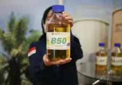 B50 Dianggap Modal Kuat Indonesia Dorong Transisi Energi Berkelanjutan