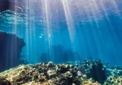 Peran Kotoran Hewan Purba dalam Evolusi Kehidupan Laut 540 Juta Tahun Lalu