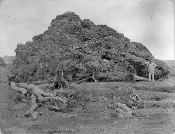 Ledakan Krakatau 1883: Gemparkan Dunia Lewat Gelombang Suara dan Abu Vulkanik