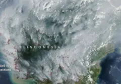 Satelit NASA Ungkap Skala Sebenarnya Kebakaran Hutan dan Lahan di Kalimantan