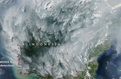 Satelit NASA Ungkap Skala Sebenarnya Kebakaran Hutan dan Lahan di Kalimantan