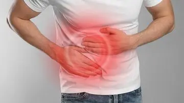 Lima Organ Vital yang Bisa Hidup Tanpanya, Ini Fungsi dan Alasannya