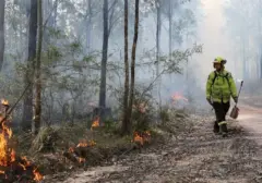 Antisipasi Bencana: Negara Tetangga RI Perkuat Strategi Lawan Kebakaran Hutan dan Lahan