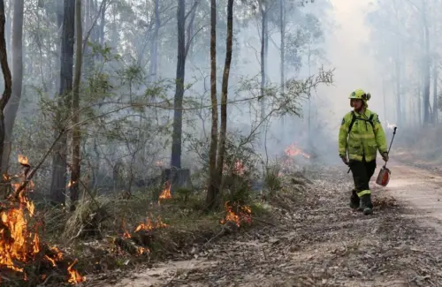 Antisipasi Bencana: Negara Tetangga RI Perkuat Strategi Lawan Kebakaran Hutan dan Lahan