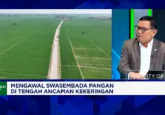 Ancaman Kekeringan Makin Nyata, Petani Desak Perbaikan Bendungan dan Irigasi Mendesak