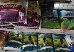 Kelangkaan Beras Premium di Ritel dan Pembatasan Pembelian: Benarkah Terjadi?
