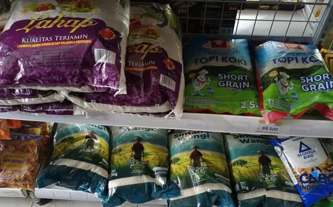 Kelangkaan Beras Premium di Ritel dan Pembatasan Pembelian: Benarkah Terjadi?