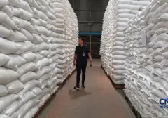 Bulog Siap Penuhi Rak Beras Premium yang Kosong di Ritel dengan Stok Melimpah
