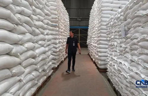 Bulog Siap Penuhi Rak Beras Premium yang Kosong di Ritel dengan Stok Melimpah
