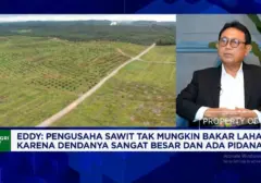 Kemarau Berkepanjangan Lumpuhkan Transportasi CPO, Pengusaha Sawit Terancam Rugi